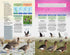 British Birds, Pocket Guide - Hume, R. ym. 2019